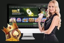 23 bet চট্টগ্রাম গাইডের ফিচার কার্ড